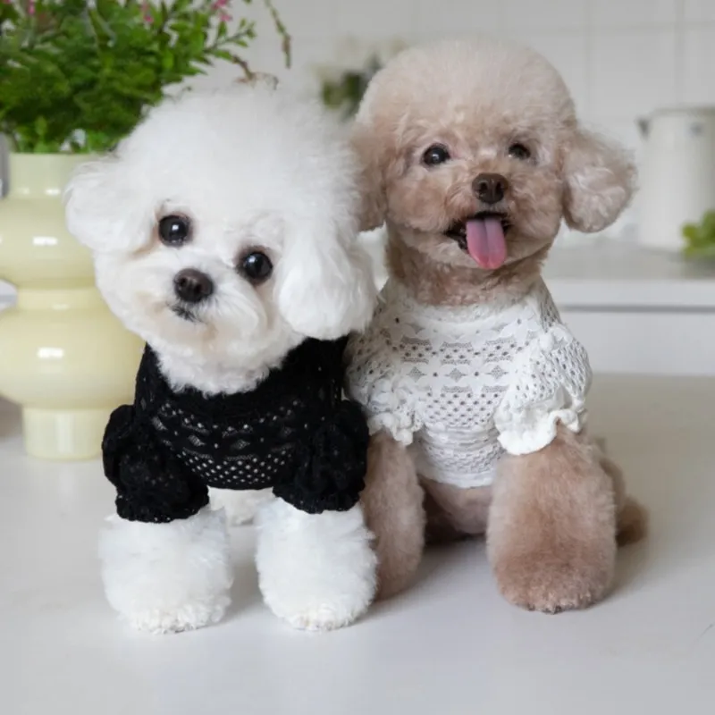 Dog clothes